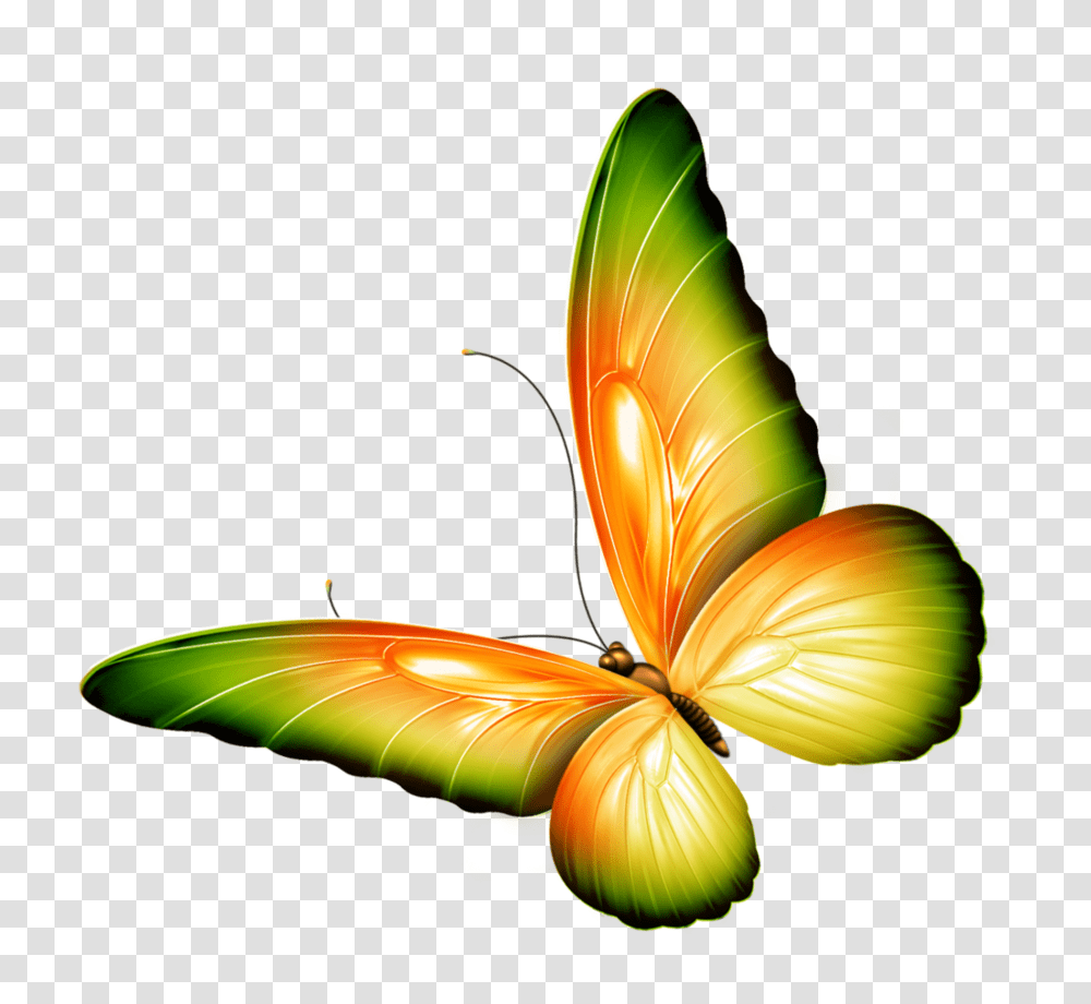 Yellow And Green Butterfly Clipart, Lamp, Flower, Plant Transparent Png