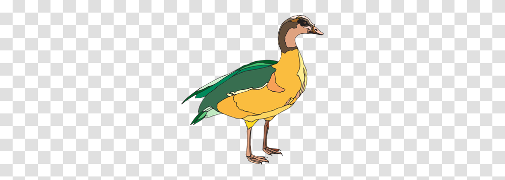 Yellow And Green Duck Clip Arts For Web, Bird, Animal, Waterfowl, Anseriformes Transparent Png