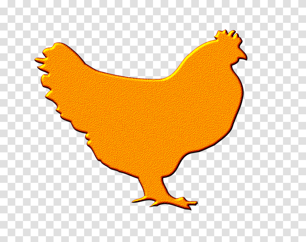 Yellow And Red Nosi Style Hen Hen Graphic, Chicken, Poultry, Fowl, Bird Transparent Png
