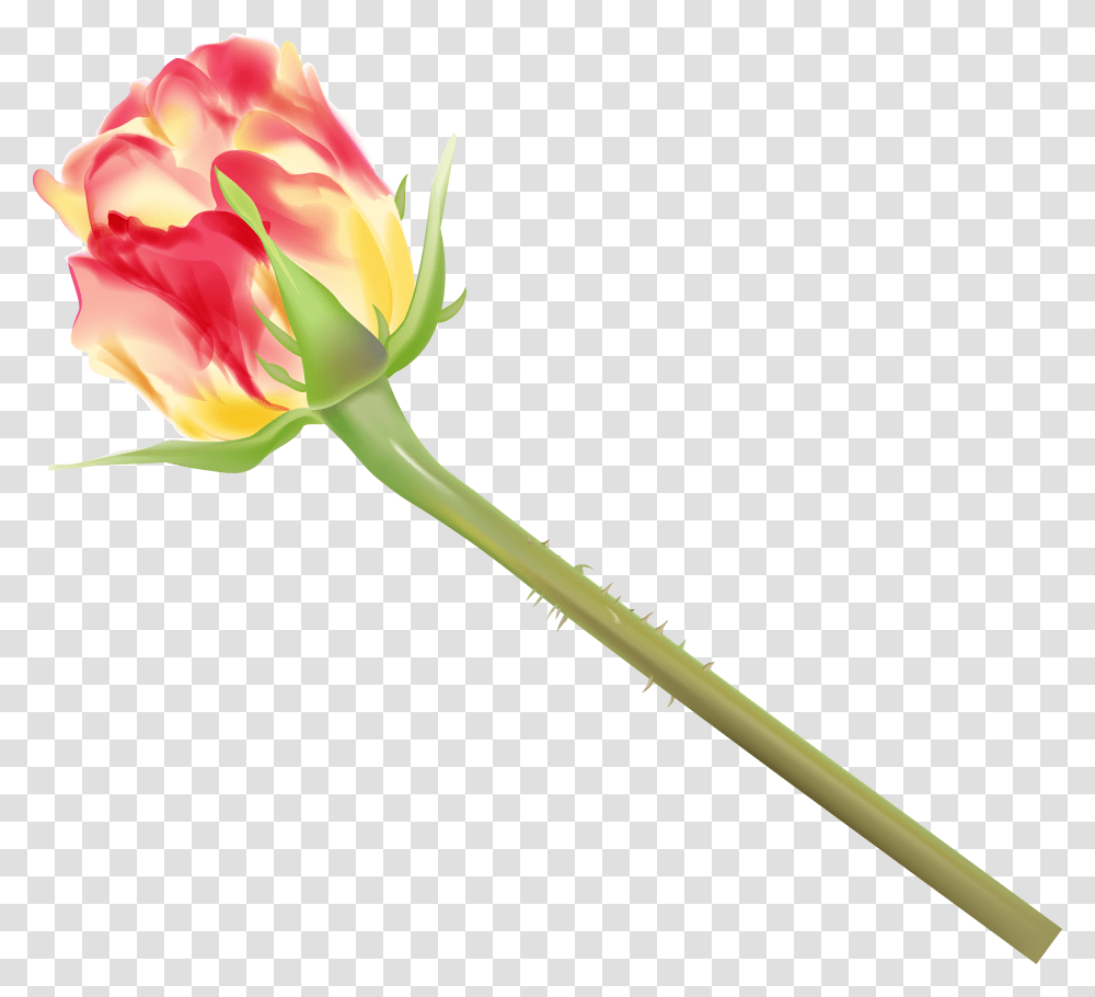Yellow And Red Rose Bud Clipart Image Rose, Flower, Plant, Blossom, Petal Transparent Png