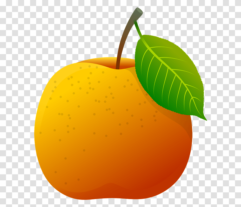 Yellow Apple Clipart Free Download Creazilla Fruit, Plant, Apricot, Produce, Food Transparent Png