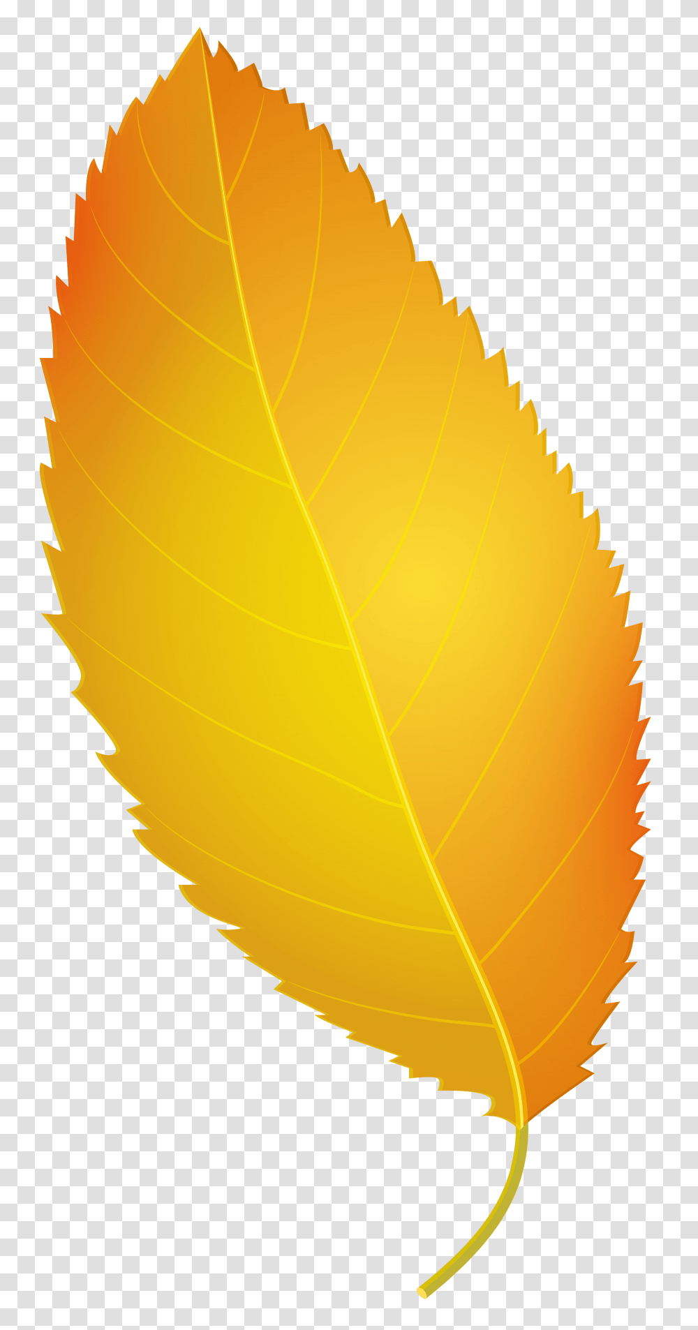 Yellow Autumn Leaf Clip Art Yellow Fall Leaves Clipart, Plant, Veins, Green, Texture Transparent Png