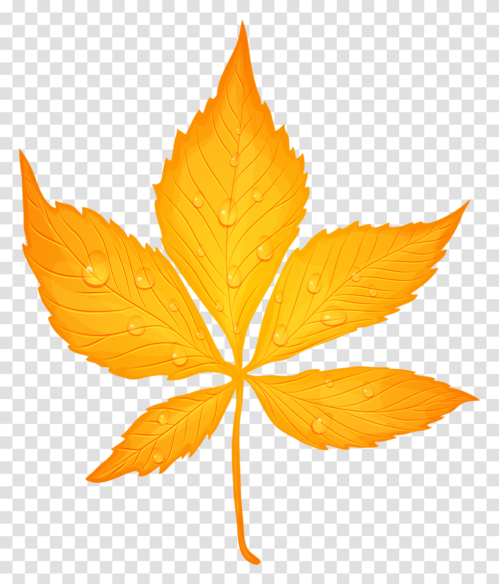 Yellow Autumn Leaf With Dew Drops Clip Art Image, Plant, Maple Leaf, Tree Transparent Png