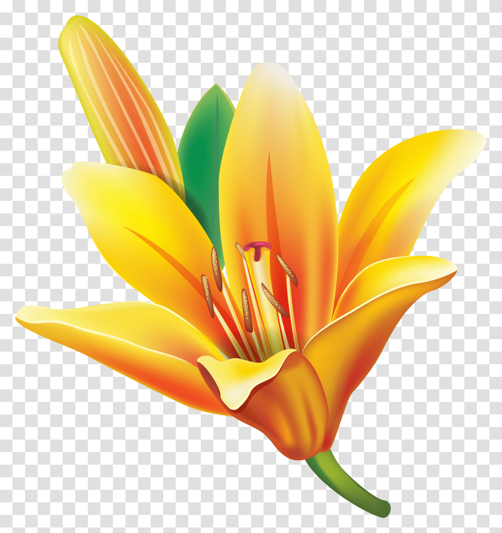 Yellow Bell Flower Clipart Download Yellow Color Lily Flower, Plant, Blossom, Banana, Fruit Transparent Png