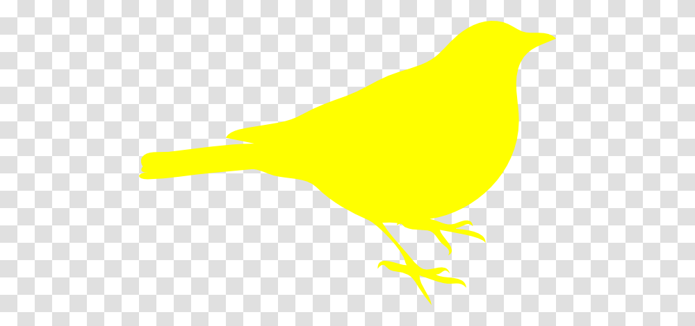 Yellow Bird Clip Art, Canary, Animal, Finch, Banana Transparent Png