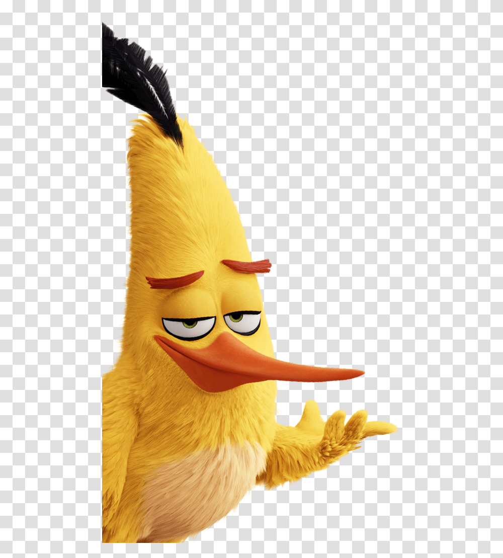 Yellow Bird From Angry Birds Movie, Animal Transparent Png