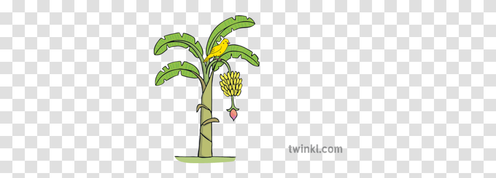 Yellow Bird Illustration, Plant, Bamboo, Flower, Blossom Transparent Png