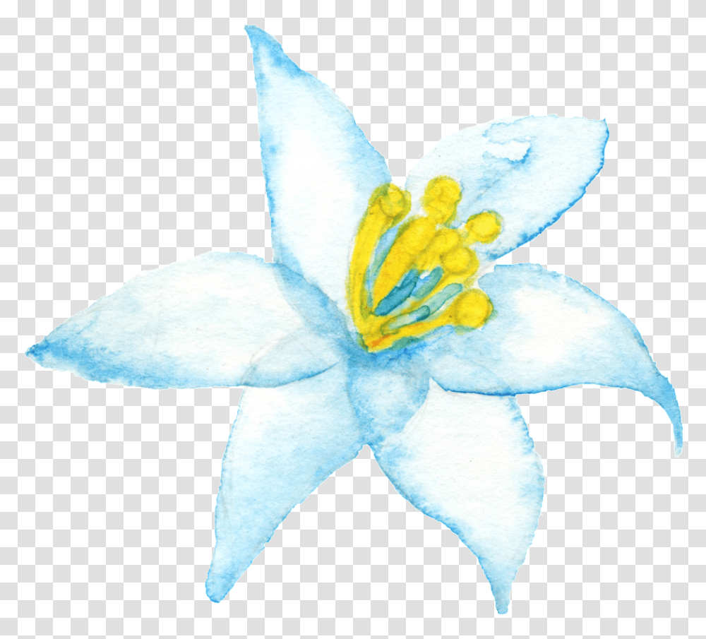 Yellow Branch Corazon Cartoon Transparente Flag Of Australia, Plant, Lily, Flower, Blossom Transparent Png