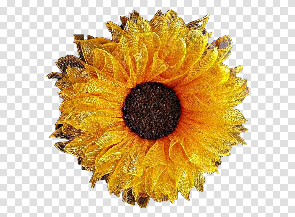 Yellow Brown Flower Wreath Sunflower Freetoedit, Plant, Blossom, Daisy, Daisies Transparent Png