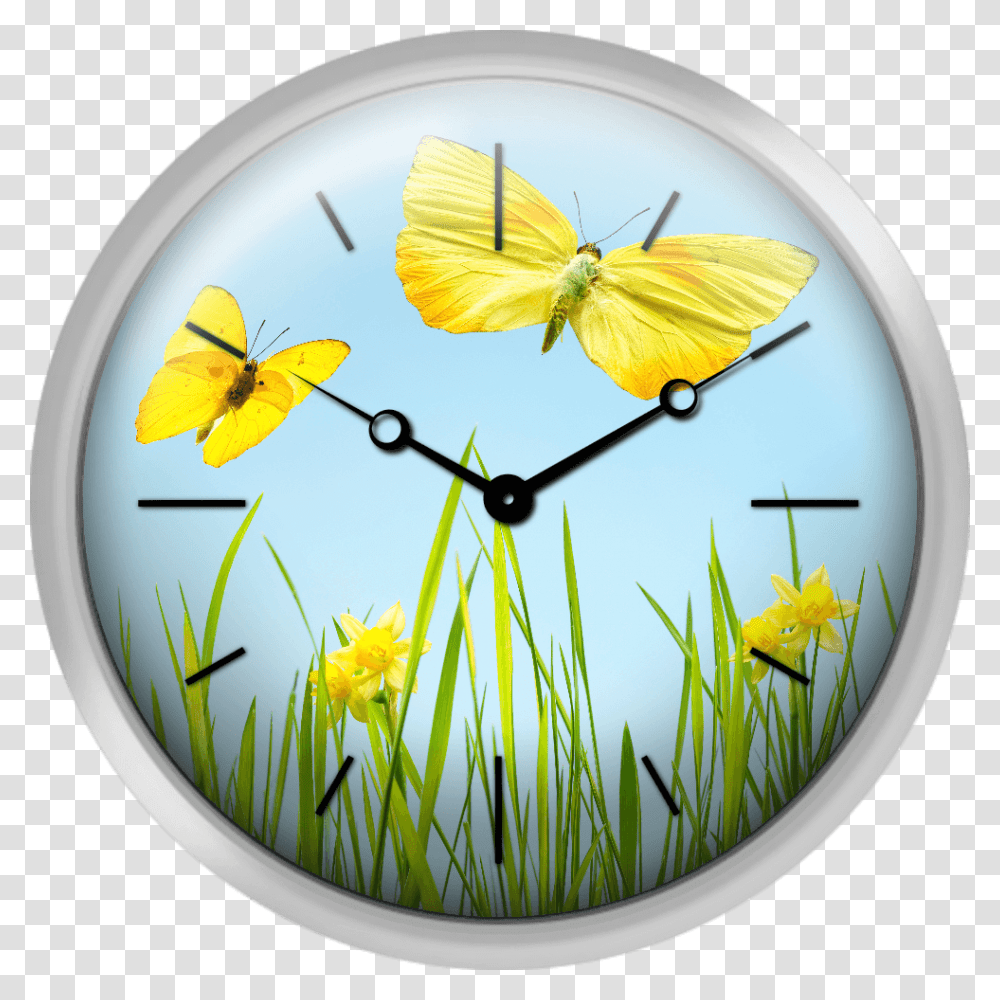 Yellow Butterflies With Grass And Daffodils Texture Clock, Analog Clock, Wall Clock Transparent Png