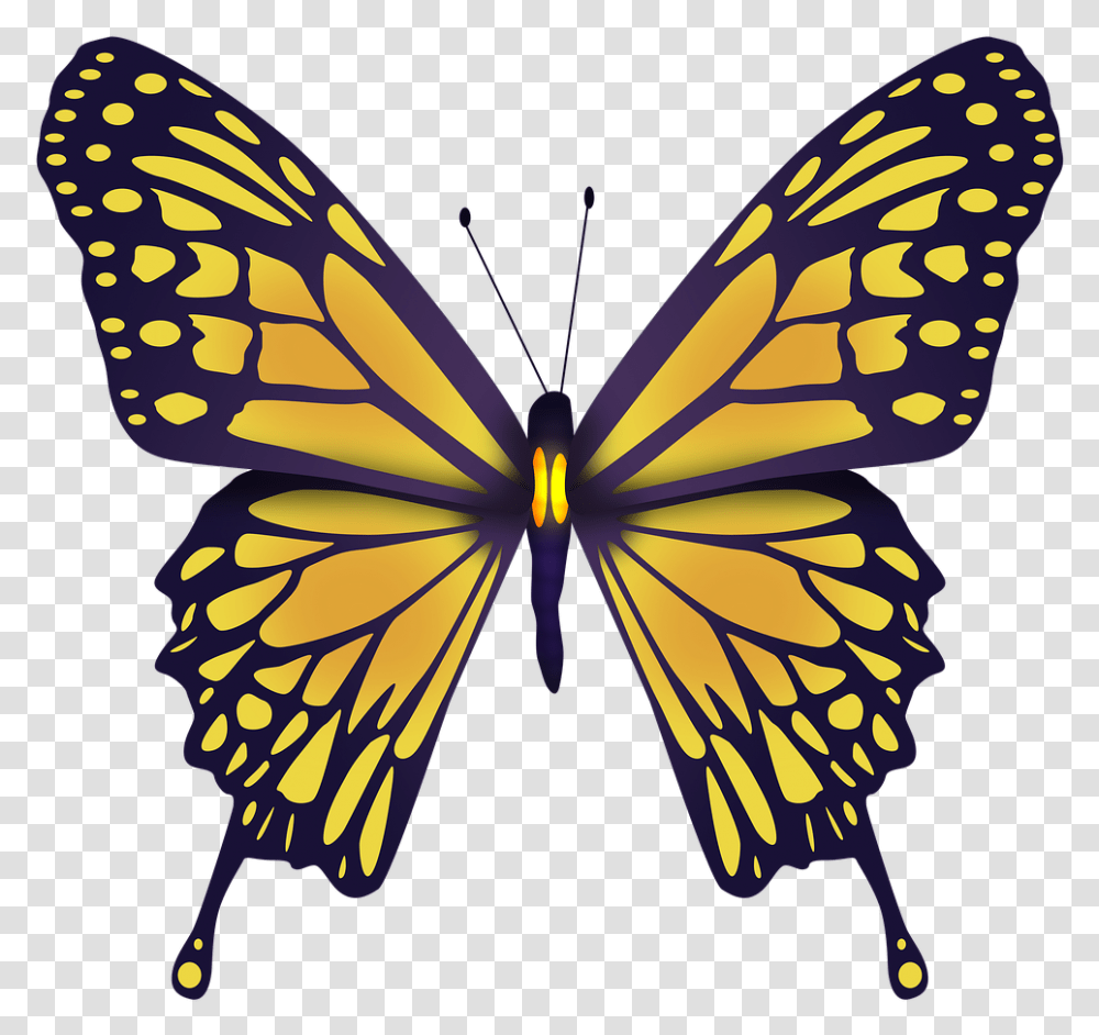 Yellow Butterfly Butterfly Nature Wings Beautiful Motyl Abeona, Insect, Invertebrate, Animal, Monarch Transparent Png