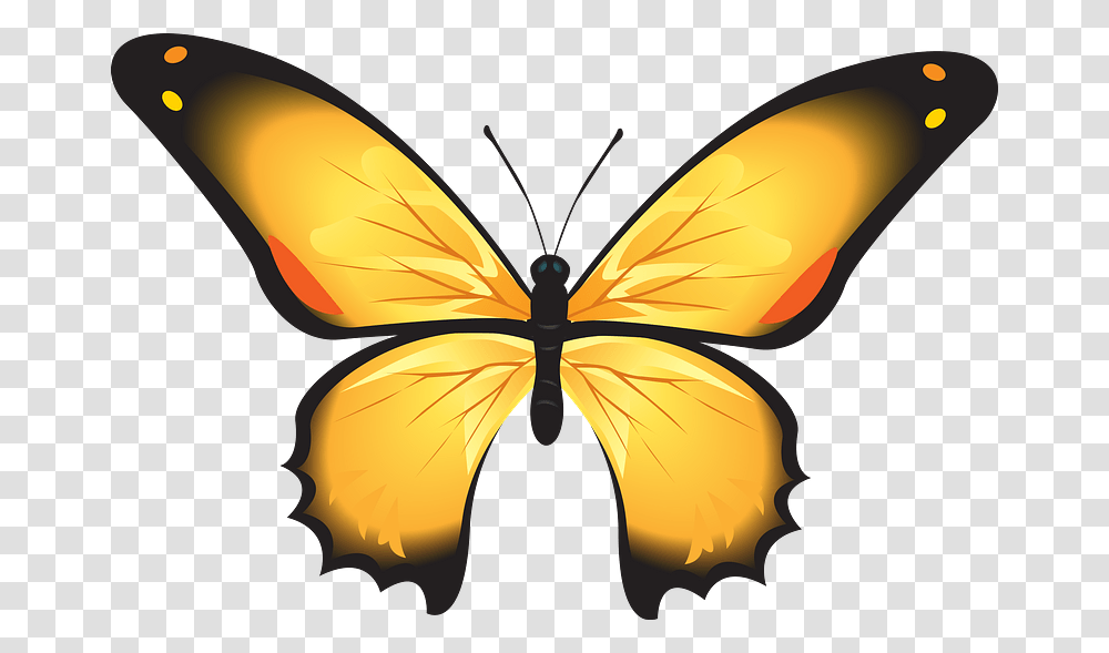 Yellow Butterfly Clipart Gambar Kupu Kupu, Insect, Invertebrate, Animal, Pattern Transparent Png