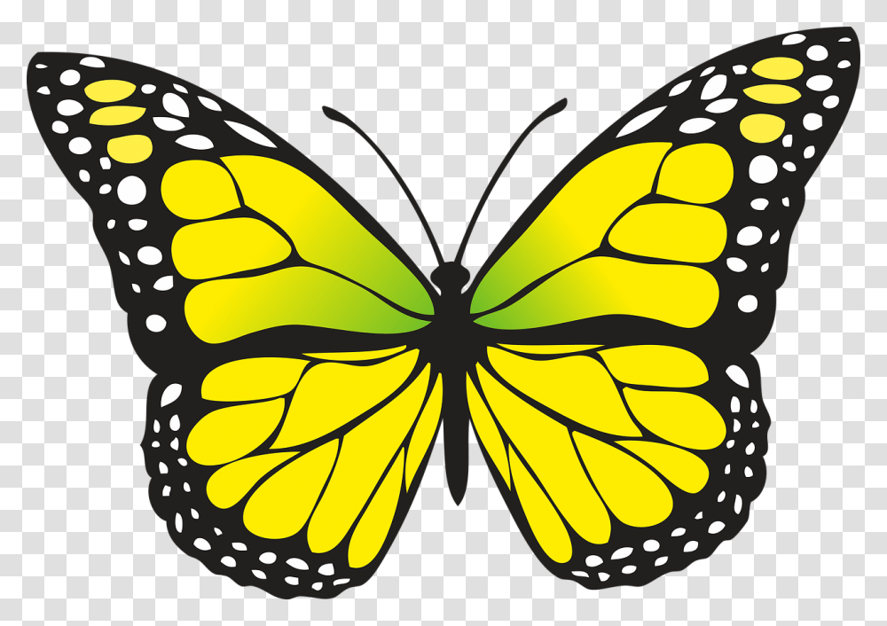 Yellow Butterfly Clipart, Insect, Invertebrate, Animal, Pattern Transparent Png