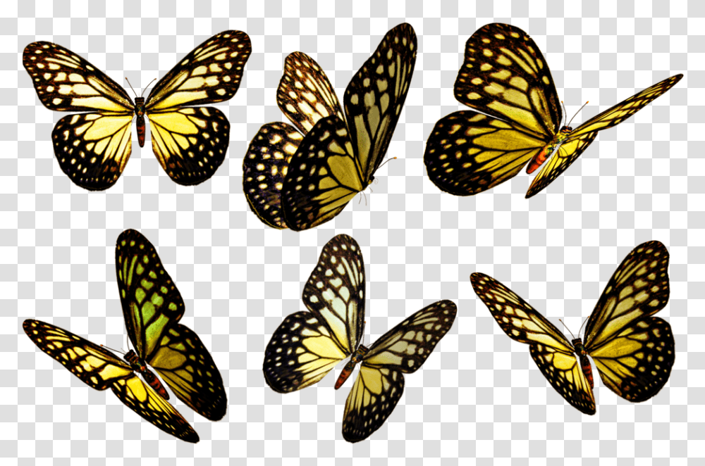 Yellow Butterfly Flying Yellow Butterflies, Insect, Invertebrate, Animal, Monarch Transparent Png