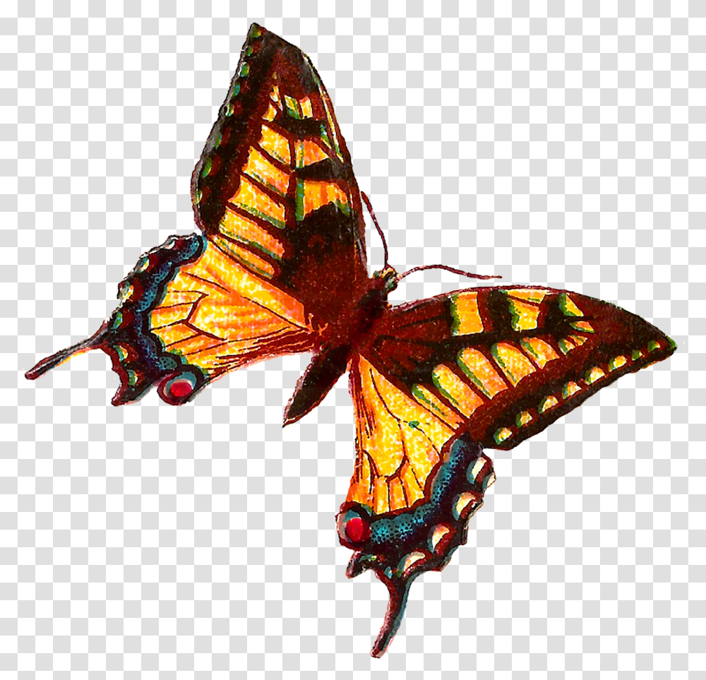 Yellow Butterfly Images Butterfly, Insect, Invertebrate, Animal, Pattern Transparent Png