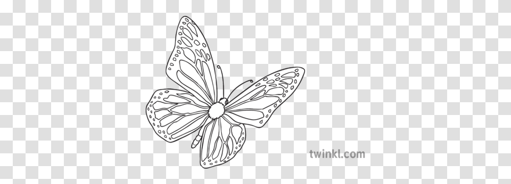 Yellow Butterfly Open Eyes Story Character Farm Animal Butterfly, Insect, Invertebrate, Pattern Transparent Png