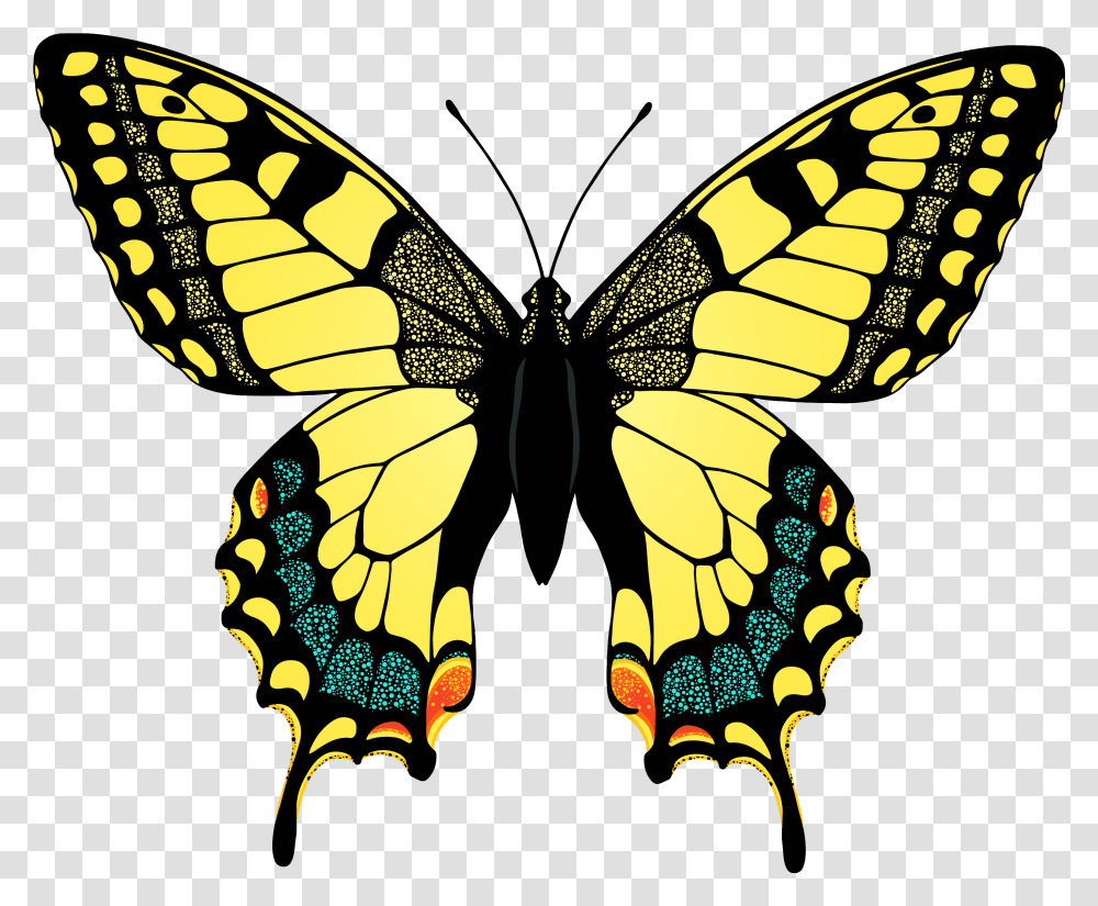Yellow Butterfly Photo, Insect, Invertebrate, Animal, Monarch Transparent Png