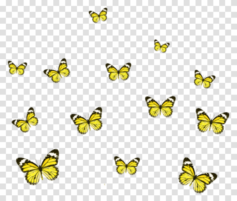 Yellow Butterfly Picsart, Monarch, Insect, Invertebrate, Animal Transparent Png