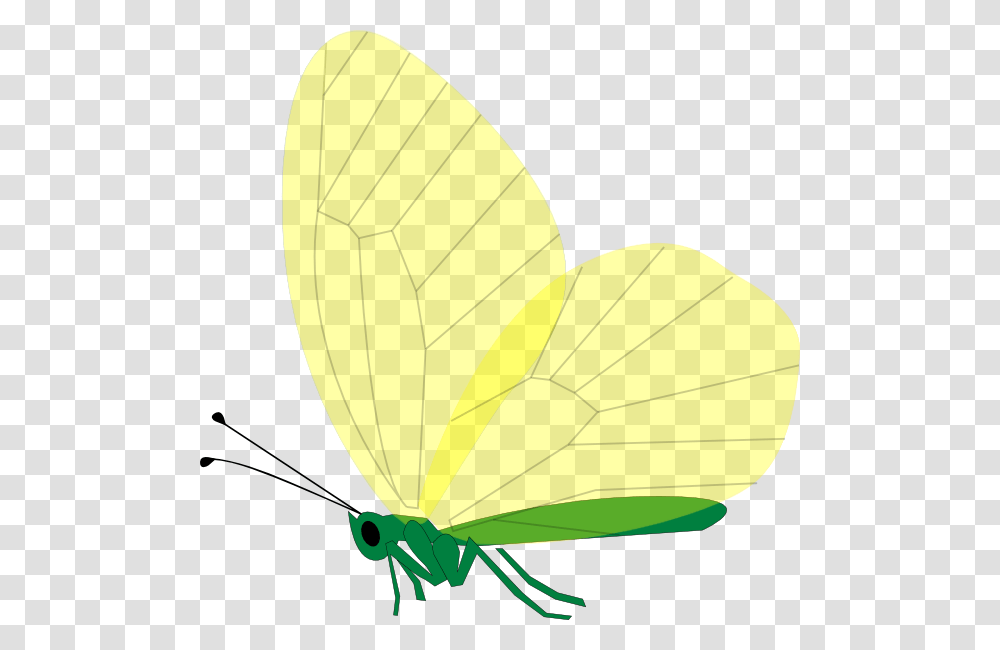 Yellow Butterfly Svg Clip Arts Clip Art, Insect, Invertebrate, Animal, Leaf Transparent Png