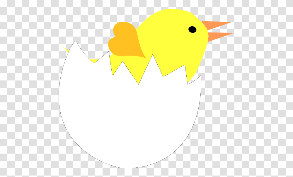 Yellow Chick In Cracked Eggshell Clip Arts For Web, Bird, Animal, Food, Poultry Transparent Png