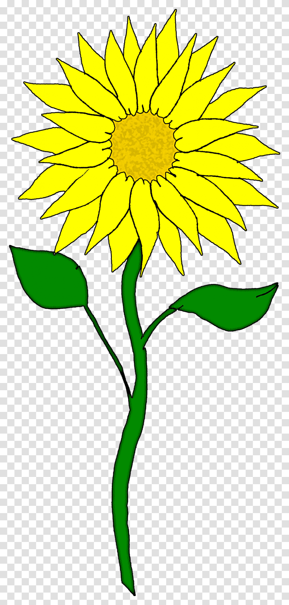 Yellow Cliparts August Sunflower Sunflower Clipart, Plant, Blossom, Daisy, Daisies Transparent Png