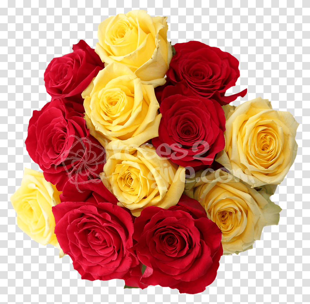 Yellow CombinationquotTitlequotred Combination Of Red And Yellow Flowers, Plant, Blossom, Flower Bouquet, Flower Arrangement Transparent Png
