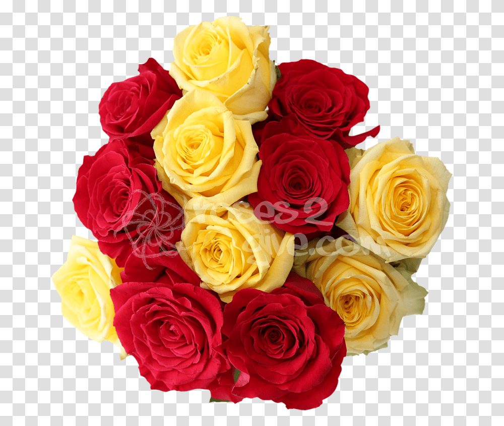 Yellow CombinationTitle Red Rose Flower Red Yellow, Plant, Blossom, Flower Bouquet, Flower Arrangement Transparent Png