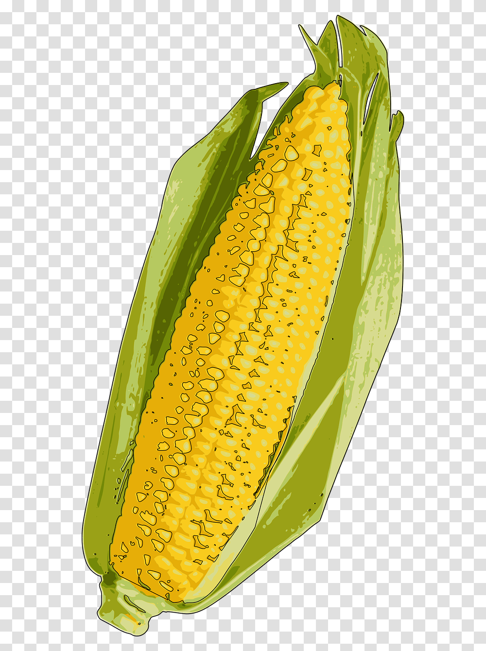 Yellow Corn, Plant, Vegetable, Food, Pineapple Transparent Png