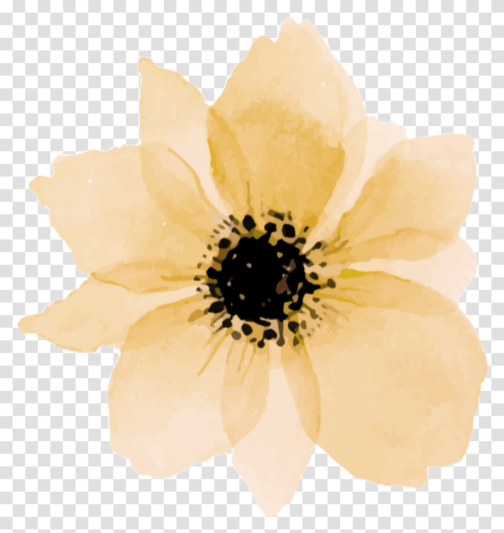 Yellow Daisy Green Flower Watercolor, Plant, Anemone, Pollen, Rose Transparent Png