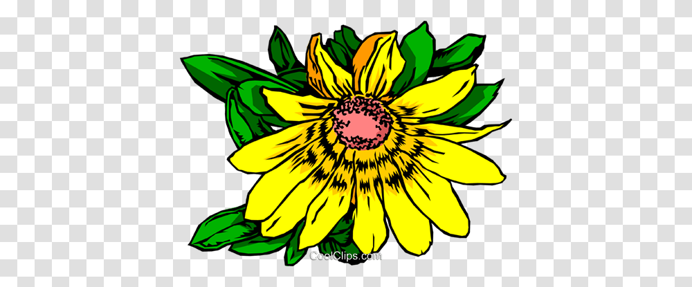 Yellow Daisy Royalty Free Vector Clip Art Illustration, Plant, Petal, Flower, Blossom Transparent Png