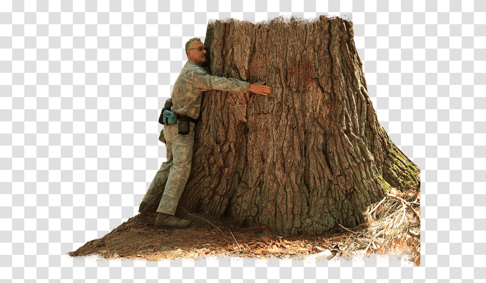 Yellow Dog Preserve Rochelle Dale Hugging Tree Tree Stump, Plant, Person, Wood, Tree Trunk Transparent Png