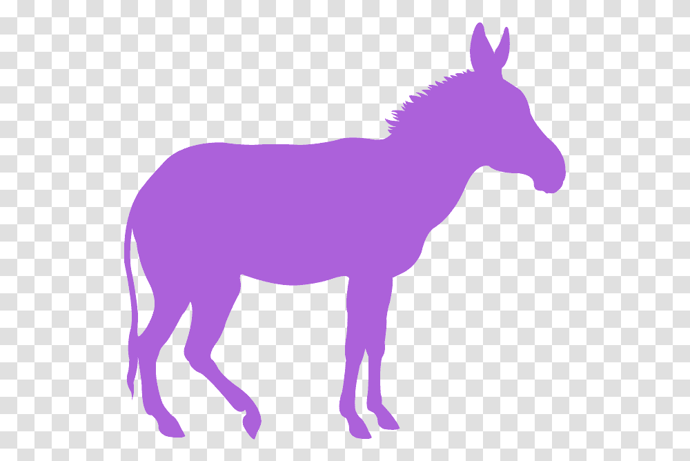 Yellow Donkey Clipart, Mammal, Animal, Horse Transparent Png