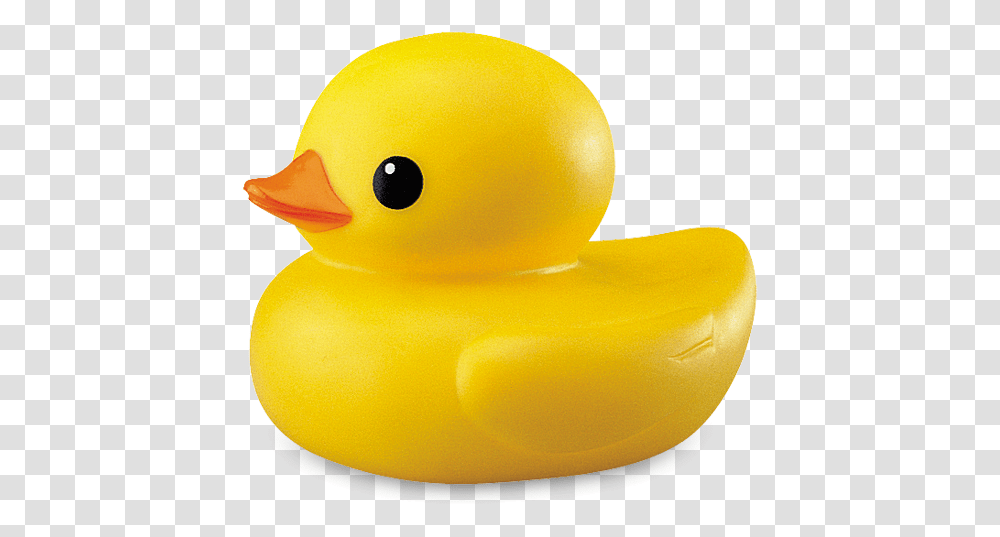 Yellow Duck Picture Background Duck, Bird, Animal, Toy, Peeps Transparent Png