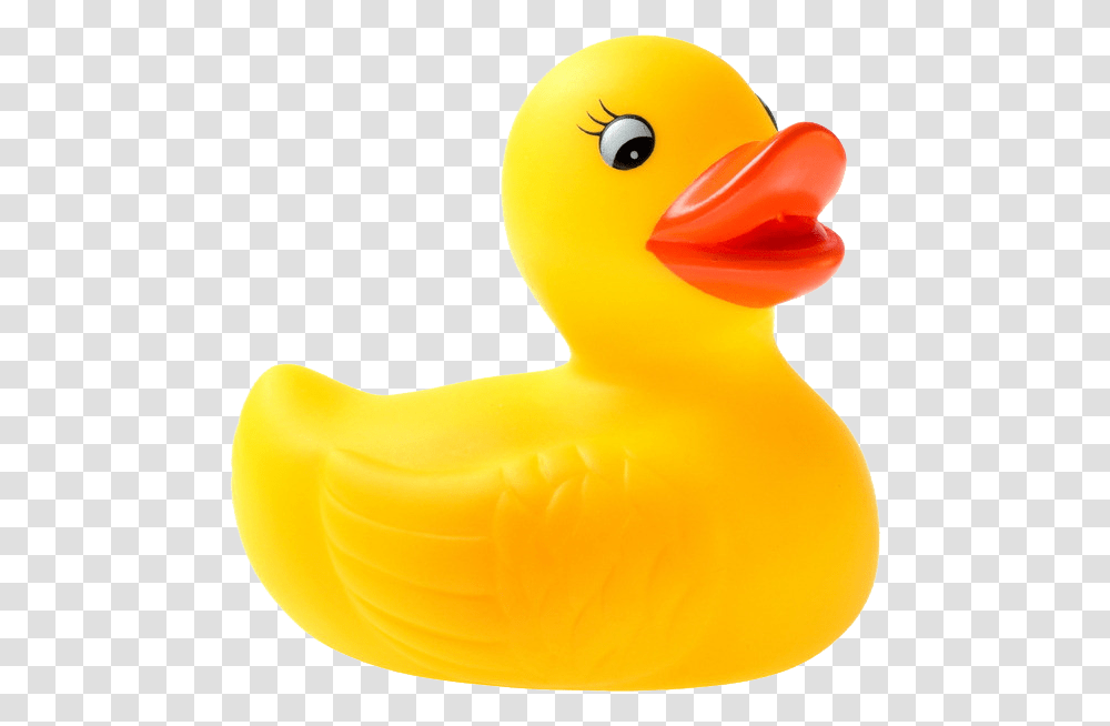 Yellow Duck Rubber Duck, Bird, Animal, Toy, Beak Transparent Png