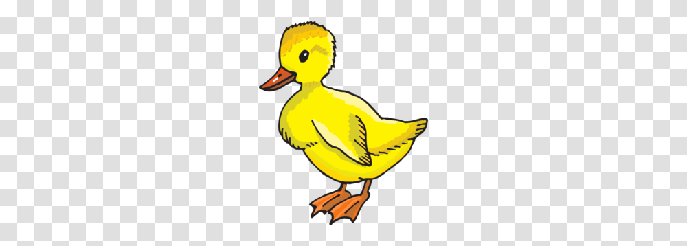 Yellow Duckling Clip Art, Bird, Animal Transparent Png
