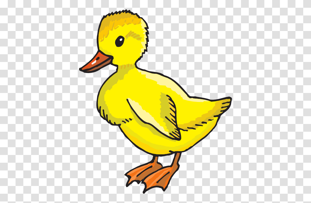 Yellow Duckling Clipart, Bird, Animal, Mallard, Waterfowl Transparent Png