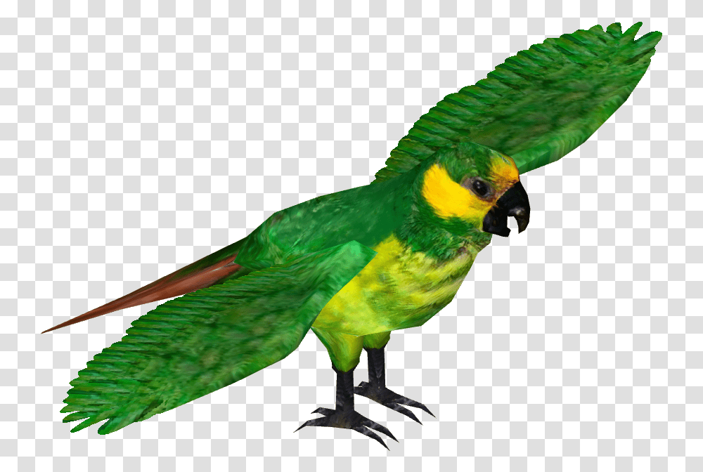 Yellow Eared Parrot Download, Bird, Animal, Macaw, Parakeet Transparent Png
