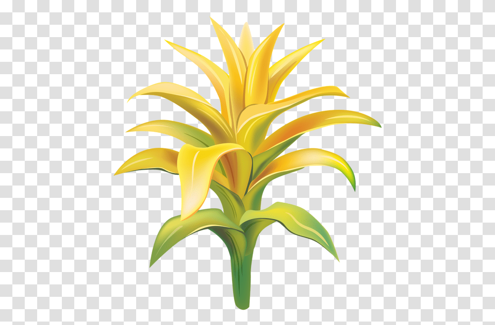 Yellow Exotic Flower Clip Fresh, Plant, Blossom, Vegetable, Food Transparent Png