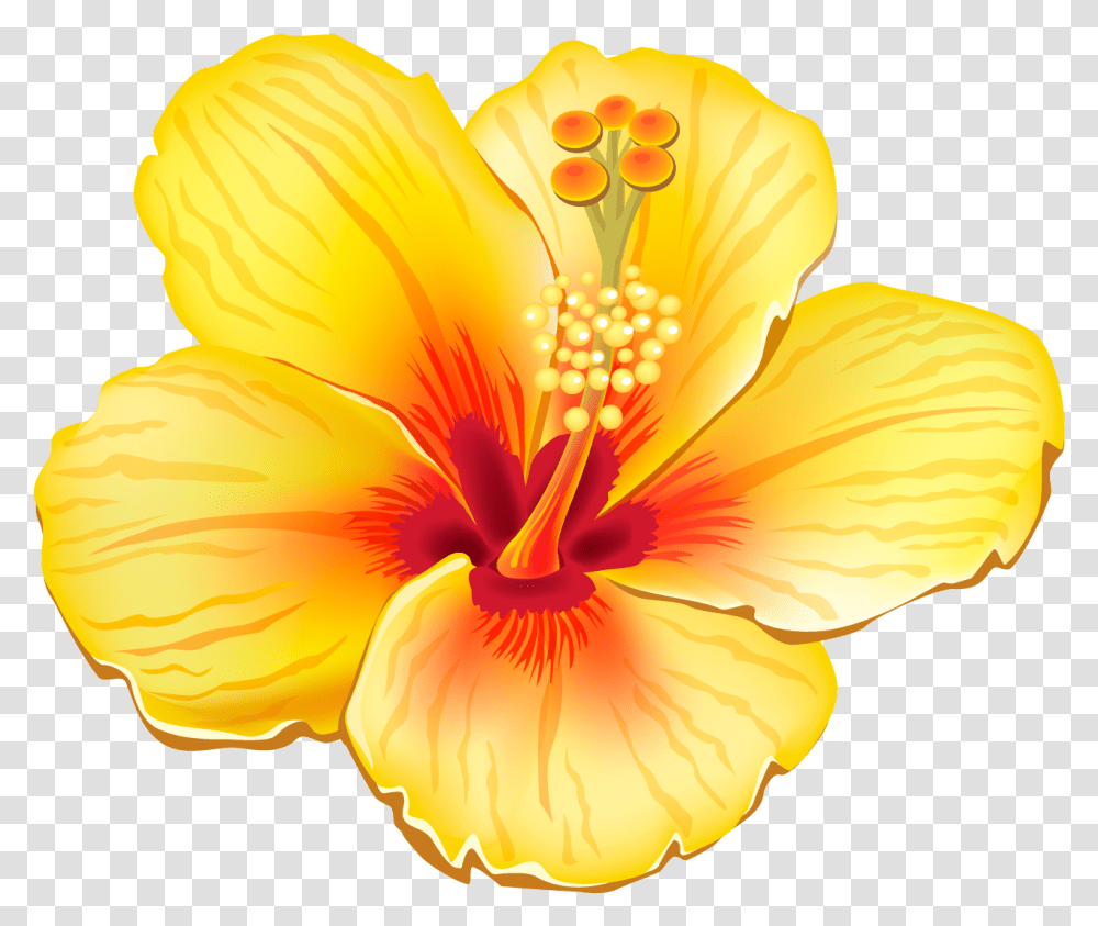 Yellow Exotic Flower Clipart Picture Hawaiian Flowers, Plant, Hibiscus, Blossom, Fungus Transparent Png