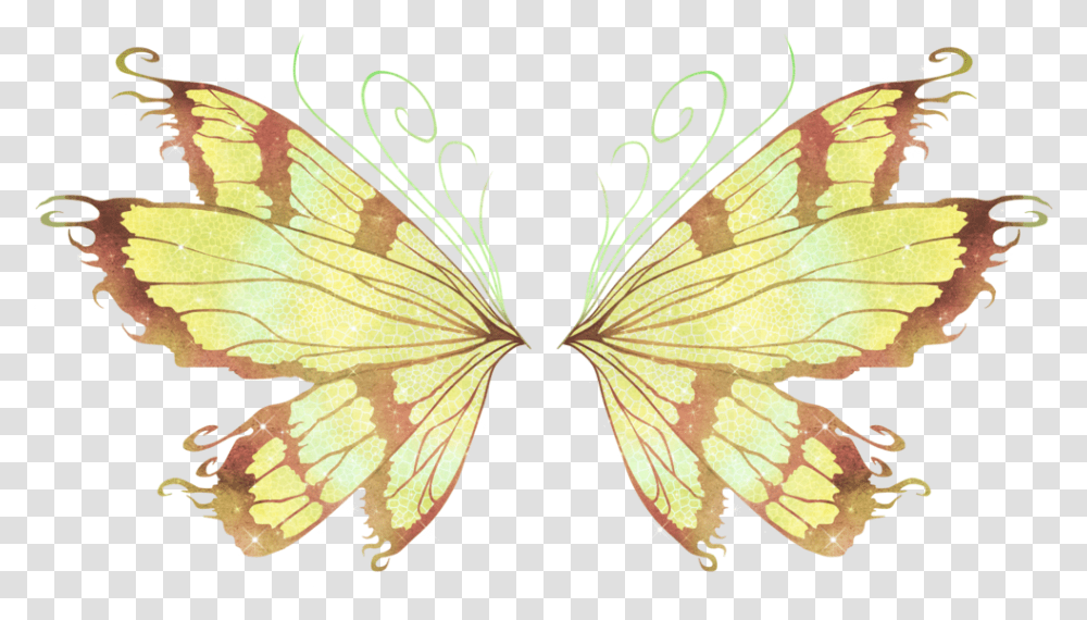 Yellow Fairy Wings Download, Insect, Invertebrate, Animal, Butterfly Transparent Png