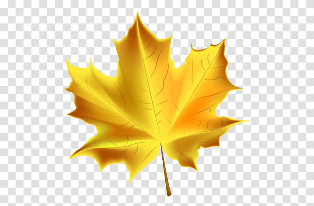 Yellow Fall Leaf Clipart Background Leaf Clipart, Plant, Maple Leaf, Tree, Rose Transparent Png
