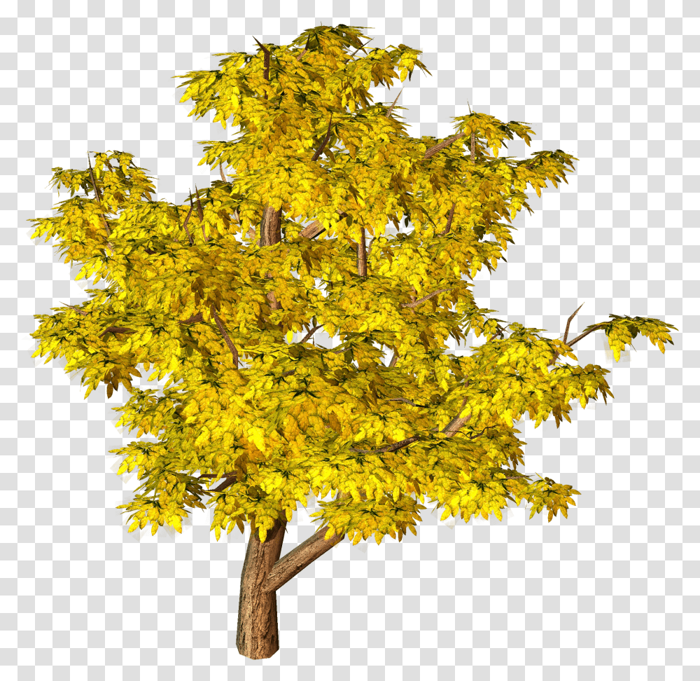 Yellow Fall Tree Clipart Yellow Tree Transparent Png