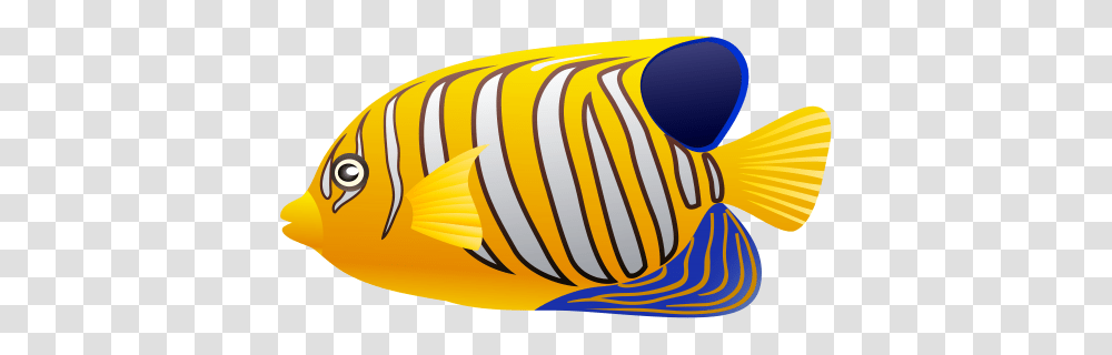 Yellow Fish Clip Art, Surgeonfish, Sea Life, Animal, Rock Beauty Transparent Png