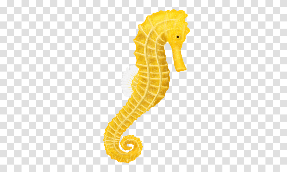 Yellow Fishing Background 2761 Free Sea Horse Background, Sea Life, Animal, Seahorse, Mammal Transparent Png