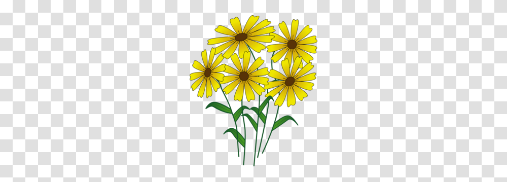 Yellow Flower Bouquet Clip Art, Plant, Asteraceae, Blossom, Daisy Transparent Png