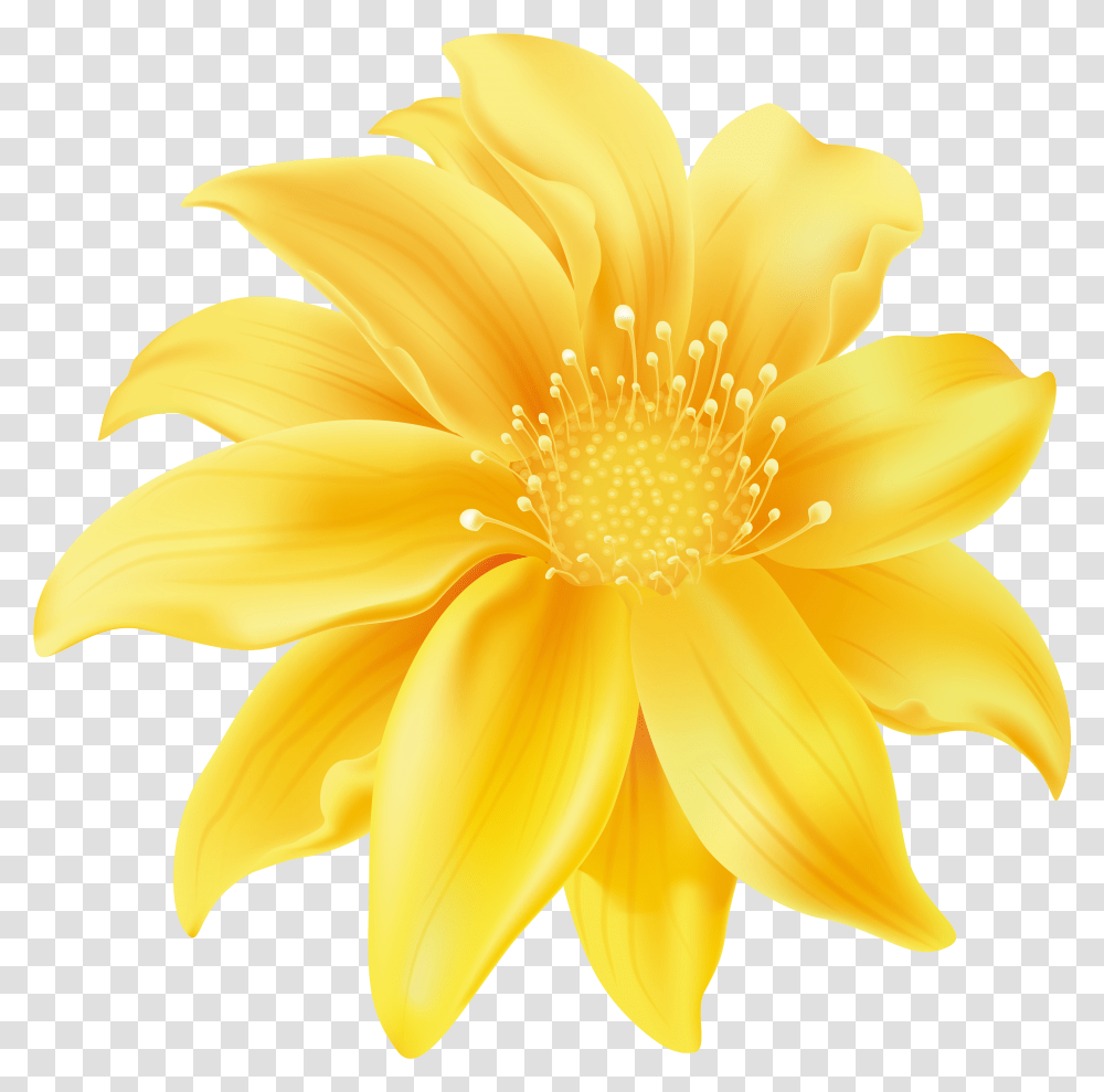 Yellow Flower Clip Art Flor Em Sem Fundo, Plant, Petal, Blossom, Dahlia Transparent Png