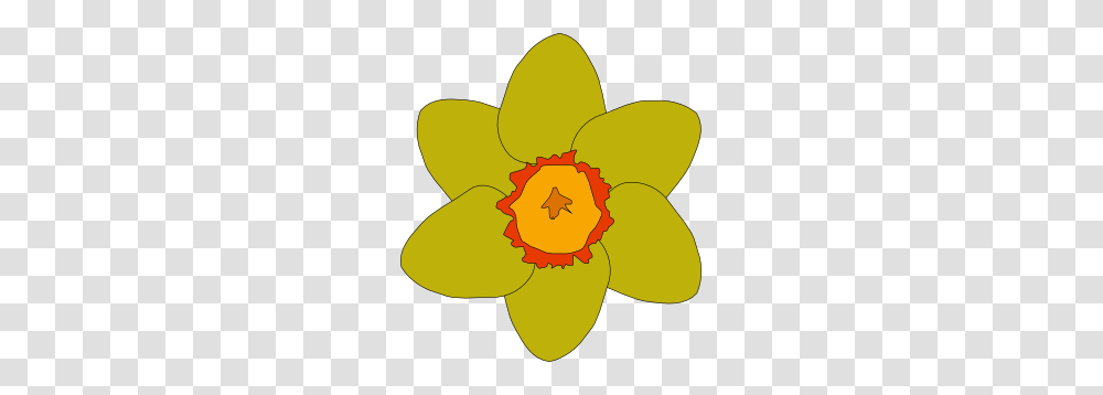 Yellow Flower Clip Art Free Vector, Plant, Blossom, Daffodil, Petal Transparent Png