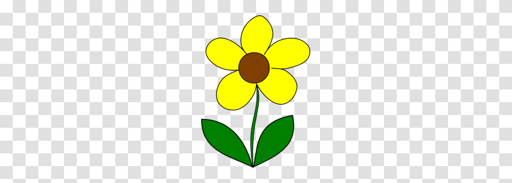 Yellow Flower Clip Art, Floral Design, Pattern, Plant Transparent Png