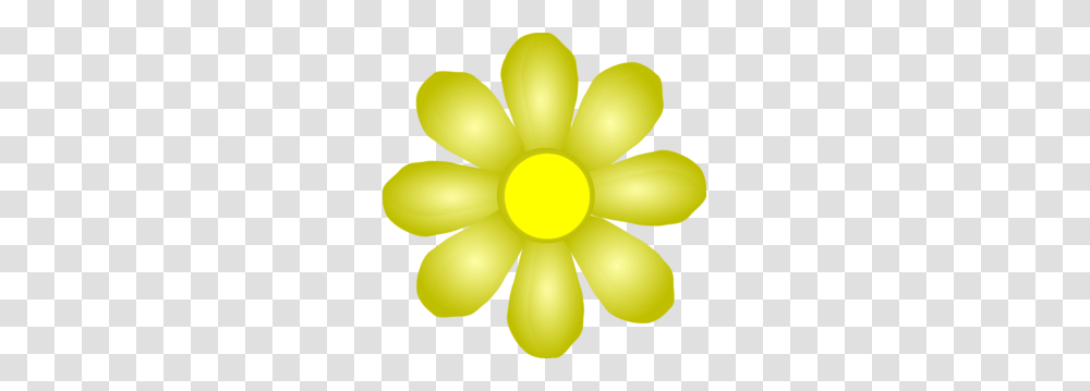 Yellow Flower Clip Art, Plant, Blossom, Petal, Gold Transparent Png