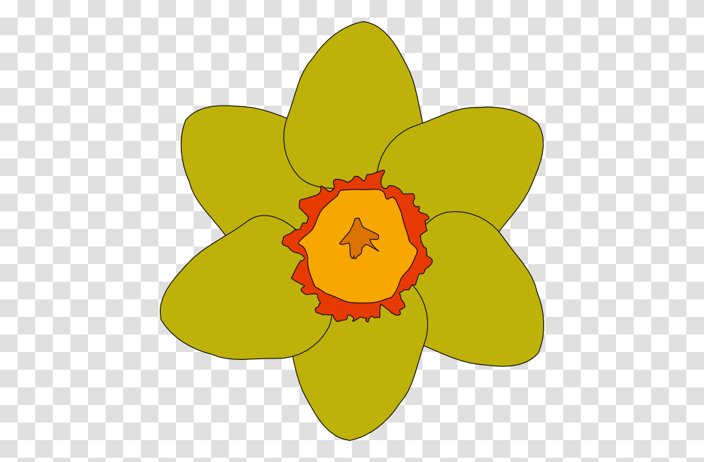 Yellow Flower Clip Art, Plant, Daffodil, Petal, Baseball Cap Transparent Png